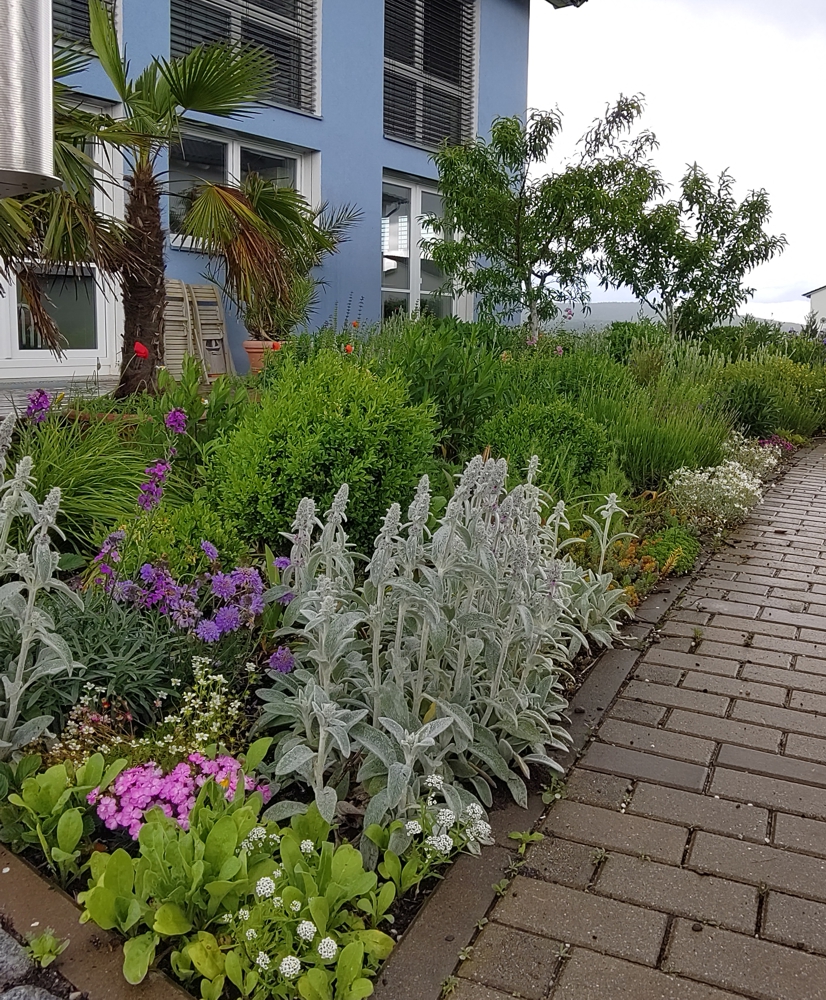 Tag der offenen Gartentür 2024